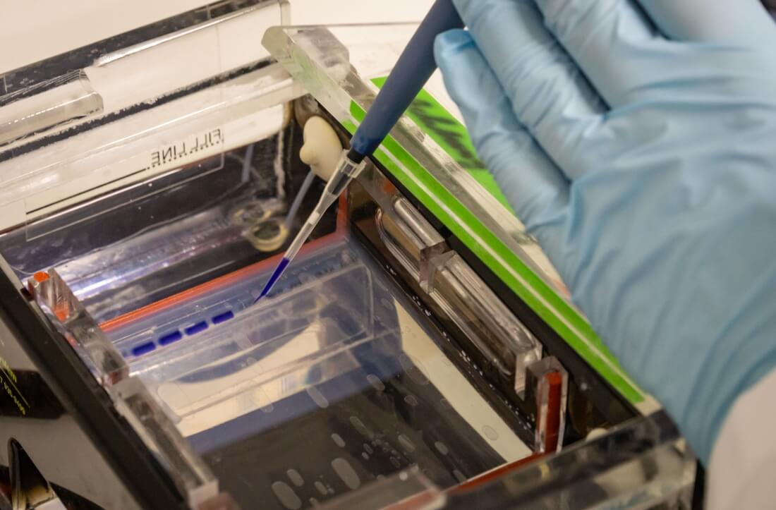 Attomol Technologie Quicktype, PCR